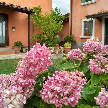 B&B Dama Sarzana Exterior foto